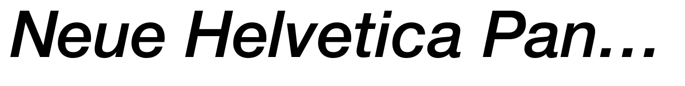 Neue Helvetica Paneuropean 66 Medium Italic
